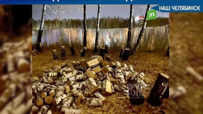 🌳 Челябинцы заметили рабочих, которые спиливали деревья около ледовой арены «Трактор»
