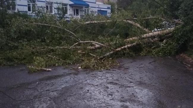 Штормовой ветер в Челябинске повалил десятки деревьев