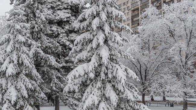 Доброе утро, Челябинск! 🤗