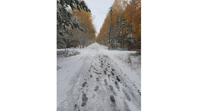 ❄️В Челябинской области выпал снег