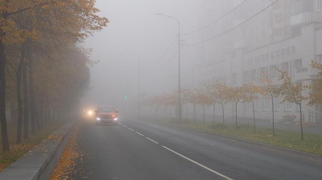 🍂 Атмосферный туман на улице Коммуны. Посоветуйте фильм для уютного осеннего вечера ☕