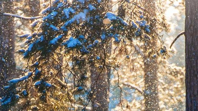 ❄ Сказочный зимний Челябинск! Расскажите, какие ваши любимые зимние развлечения?