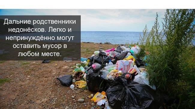 ❗ Типы мусорящих людей по версии Чистомэна. Часть 3. 