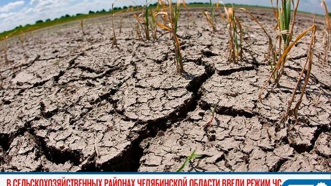 ⚡ В сельскохозяйственных районах Челябинской области ввели режим ЧС из-за засухи 