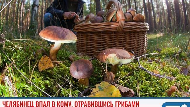 ❗ Челябинец впал в кому, отравившись грибами 😨 🍄
