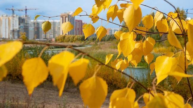 С добрым утром, друзья! ☕ Рассказывайте, кто уже был на улице - как там? 