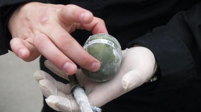 В Челябинске на детской площадке обнаружена граната