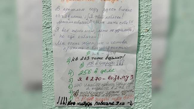 🥒 Жители Копейска занимают очередь за кабачками