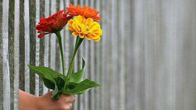 Живые, съедобные и даже мыльные: какие цветы подарить в женский праздник?