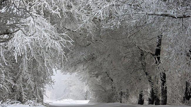 Морозы до минус 33 градусов обещают синоптики на Южном Урале 