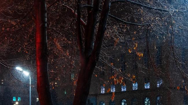 🍂 Ненастный Челябинск. Расскажите, какие хорошие фильмы и сериалы вы смотрели недавно?