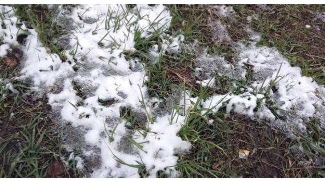 Аномальная жара на Урале сменится заморозками в ближайшие 2 суток