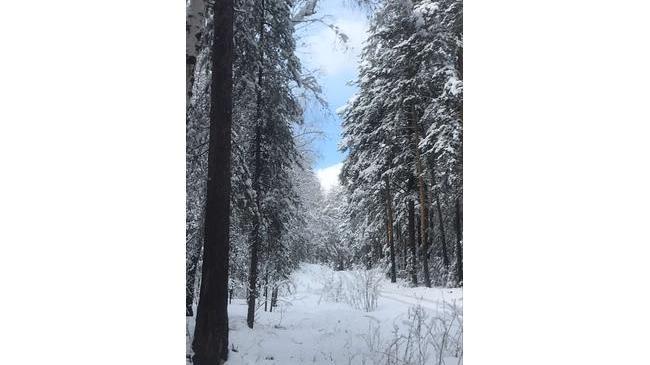 Прекрасное апрельское утро в Челябинске 😊😁
