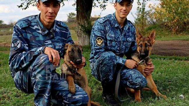 🐶 На службу в ГУФСИН Челябинской области поступили 6 щенков