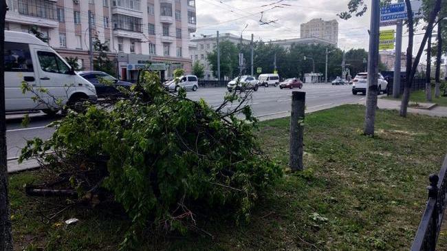 🪓 На проспекте Ленина по всей длине от улицы Красной и до Лесопарковой вырубили липы. 🌳 И совсем зелёные в том числе.