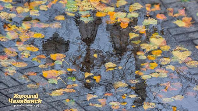🍂 Дождливый Челябинск. Покидайте песен для осеннего настроения!