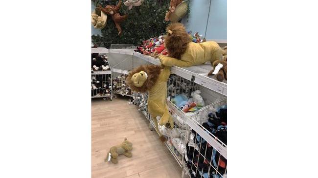 В одном из магазинов игрушек