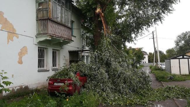 Сезон упавших деревьев: ночью по Челябинску пронесся ураган