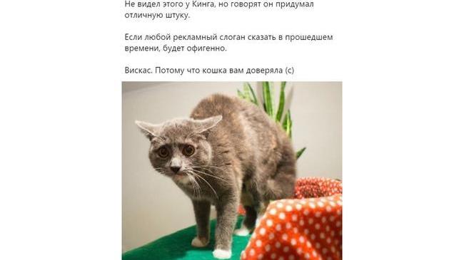 McDonald’s. вот что я любил 😂😂😂 Продолжите в комментариях?