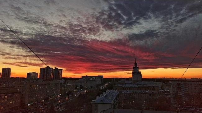 Жар-птица над городом 🌅
