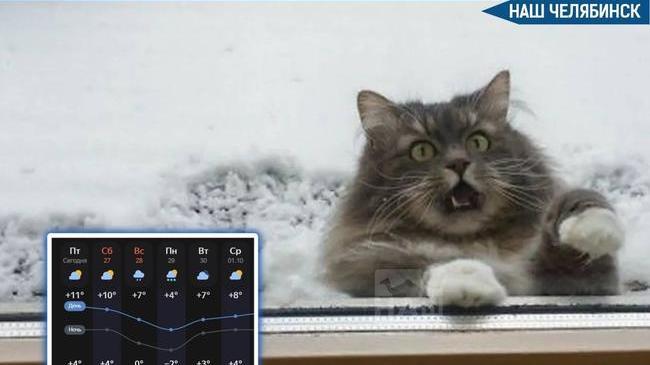 ❄️ Снег ожидается в Челябинске через несколько дней