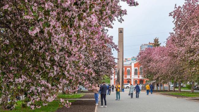 С добрым утром, друзья! ☕ Рассказывайте, кто уже был на улице - как там?