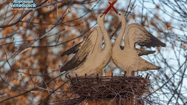 А смотрите, какая красота во дворе на ул. Российской, 28. 