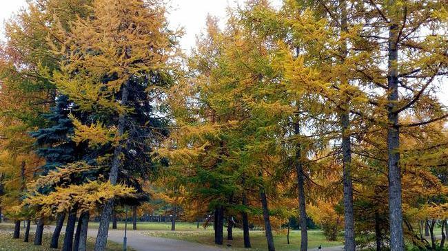 📷 Там выше делились фотографиями осенней поры за чертой города. 